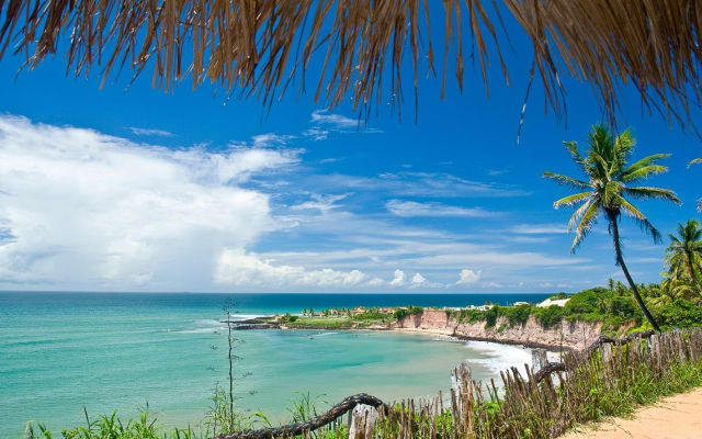 South Coast & Pipa Beaches 4X4 Tour from Natal