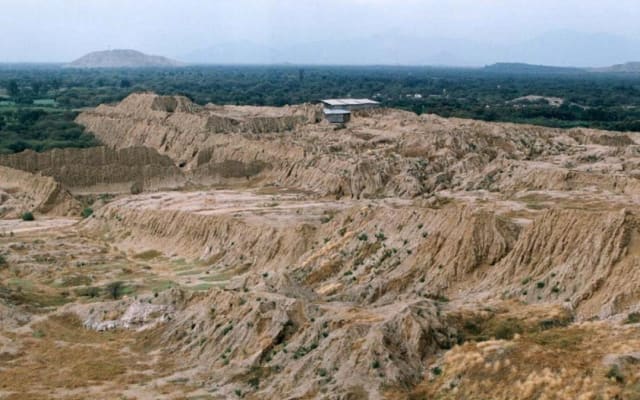 Tucume Pyramids & Sipan Museum Tour