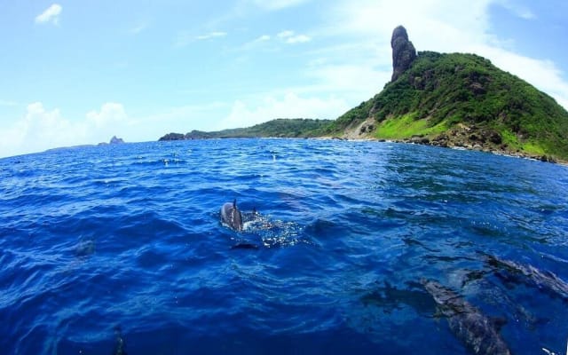 Fernando de Noronha Boat Tour