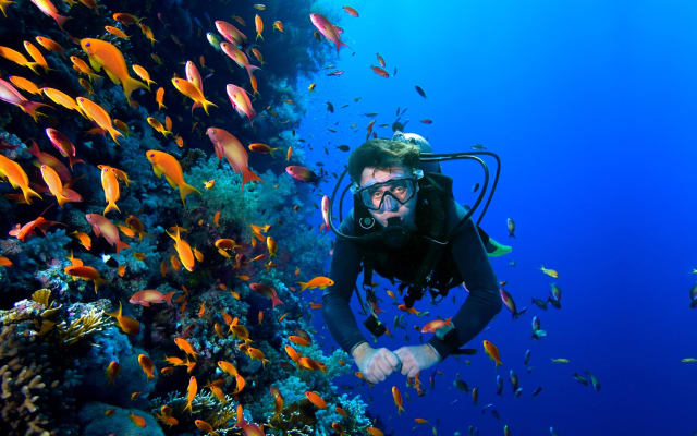 Búzios Scuba Diving Experience