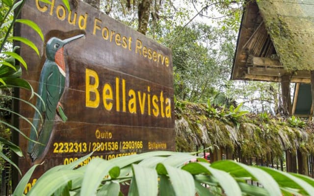 Bellavista Cloud Forest 3-Day Tour