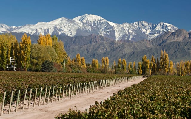 4-Day Mendoza Wine & Adventure Tour
