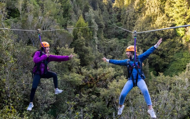 Rotorua Forest Zipline Adventure