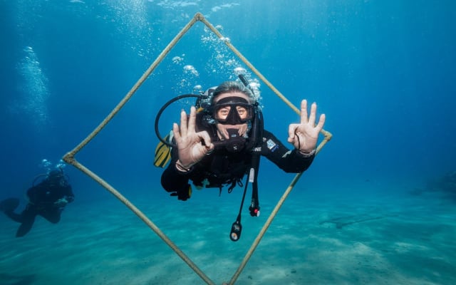 Ras Mohammed & White Island Diving Adventure
