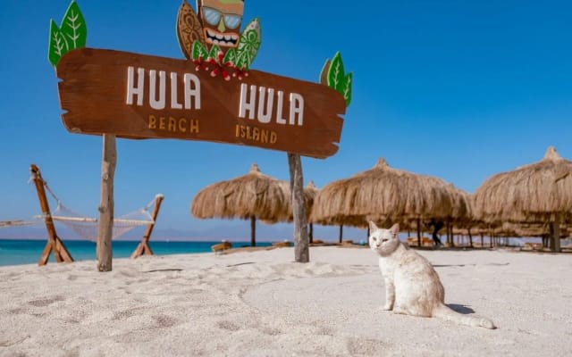 Hula Hula Island Sea Trip