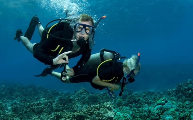 Pirate Boat Snorkel Cruise in Sharm el Sheikh