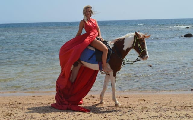 Hurghada Horseback Riding Adventure