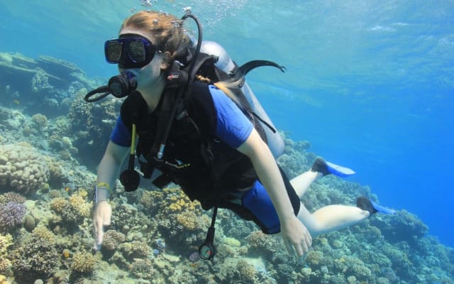 Tiran Island Snorkeling Adventure