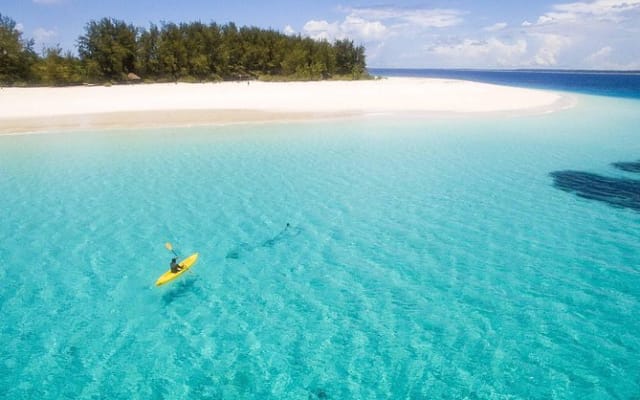 Mnemba Island Live Aquarium & Turtle House Tour