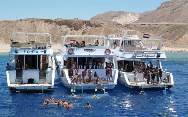 Tiran Island Snorkeling Adventure