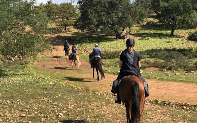 Agadir Horseback Riding Adventure