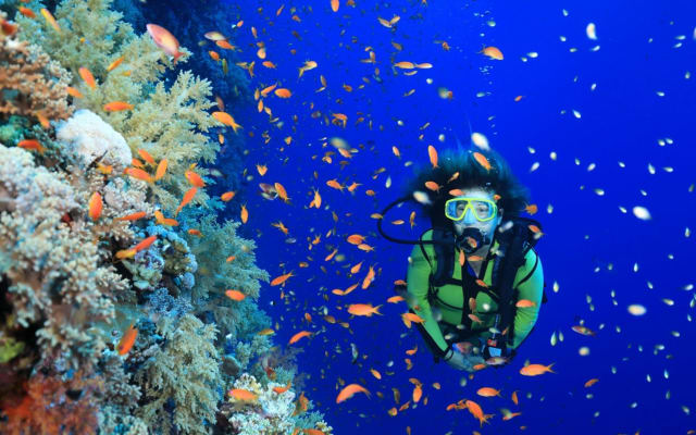 PADI Open Water Diving Course in Marsa Alam