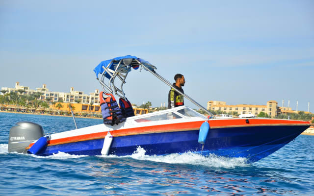 Private Speedboat Dolphin Swim & Water Sports in Hurghada