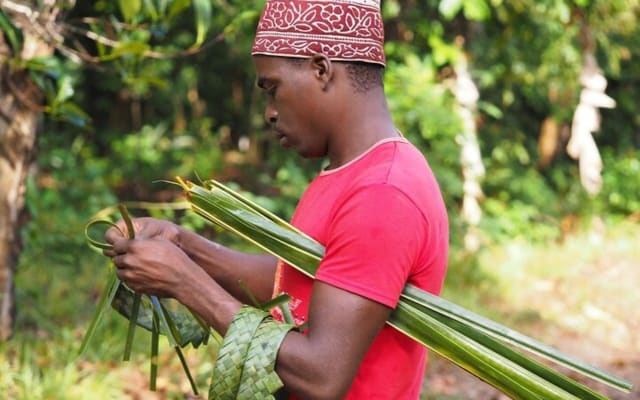 Zanzibar Full-Day Cultural Tour