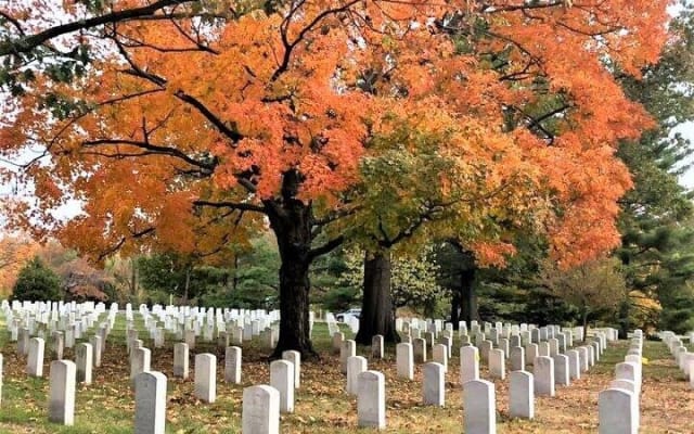 Arlington Cemetery Guided Walking Tour