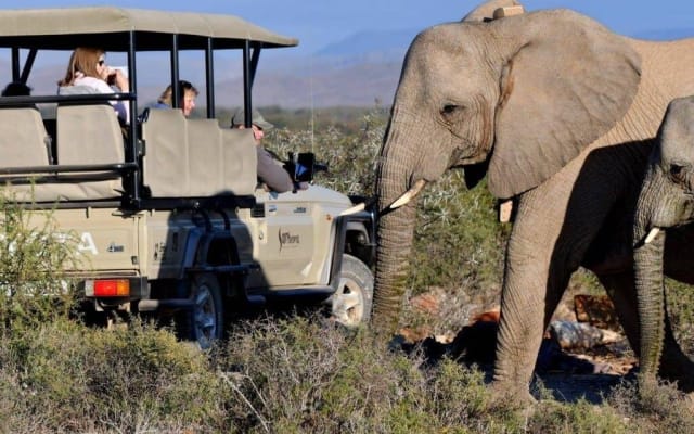 Private Transfers to Sanbona Wildlife Reserve