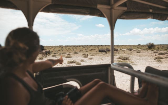 3-Day Etosha National Park Safari