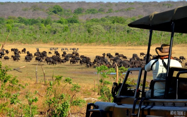 Zambezi National Park Game Drive