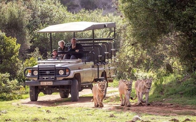 Garden Route Private Tour from Cape Town