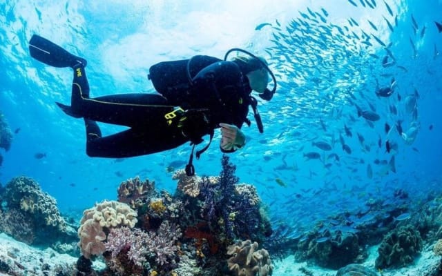 Hurghada Full-Day Diving Adventure