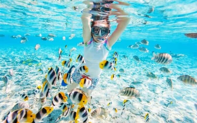 White Island & Ras Mohamed Cruise Adventure
