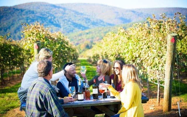 Maipo Valley Wine Tour with 4 Vineyards from Santiago