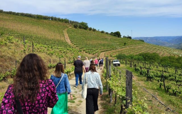 Douro Valley Wine Tour with River Cruise