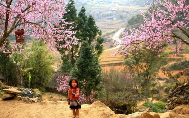Sapa 3-Day Trekking Adventure