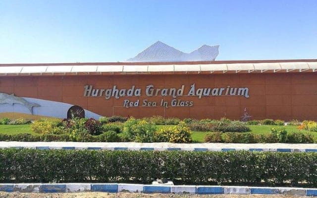 Hurghada Grand Aquarium Tour