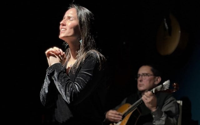 Porto Walking Tour with Fado Show
