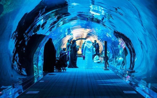 Dubai Mall Aquarium & Underwater Zoo Tickets