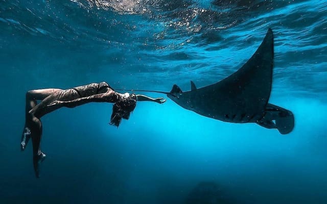 Nusa Penida Snorkeling Adventure