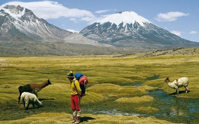 Chilean High Plateau 4-Day Adventure