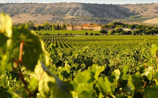 Colchagua Valley 4-Day Self-Drive Tour