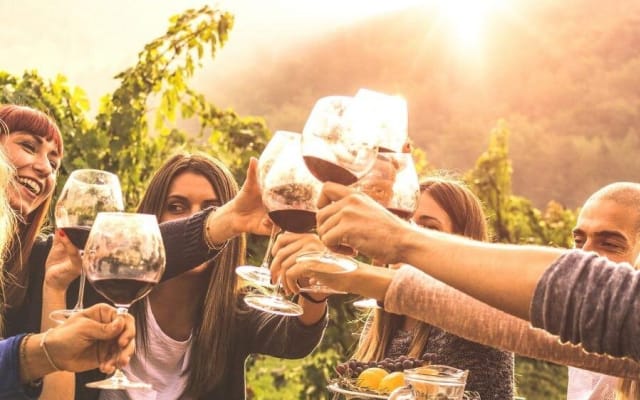 Private Mendoza Wine Tour from Buenos Aires