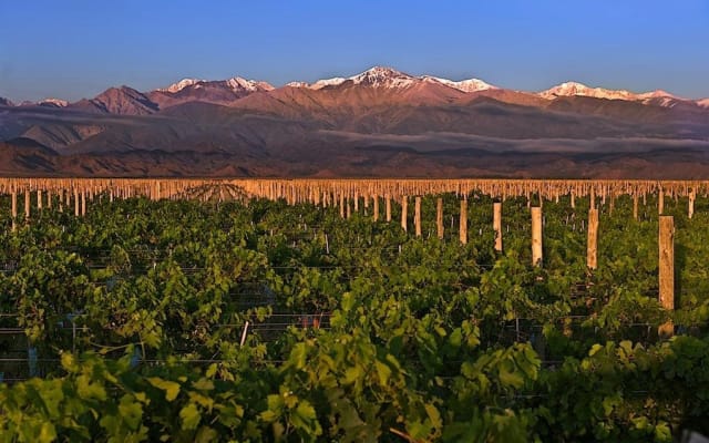 Mendoza Wine & Mountains 3-Day Tour