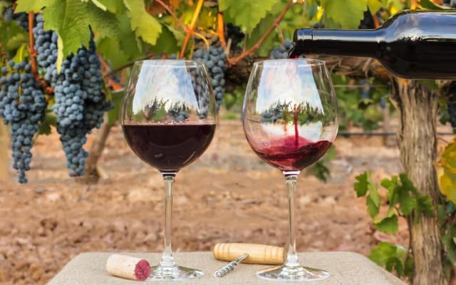 7-Day Chilean & Argentinean Wine Tour