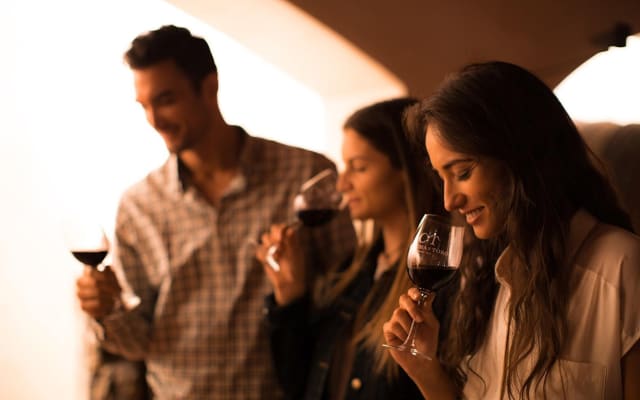 Concha y Toro Winery Half-Day Tour