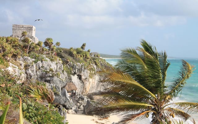 Tulum Ruins and Cenotes Jungle Adventure