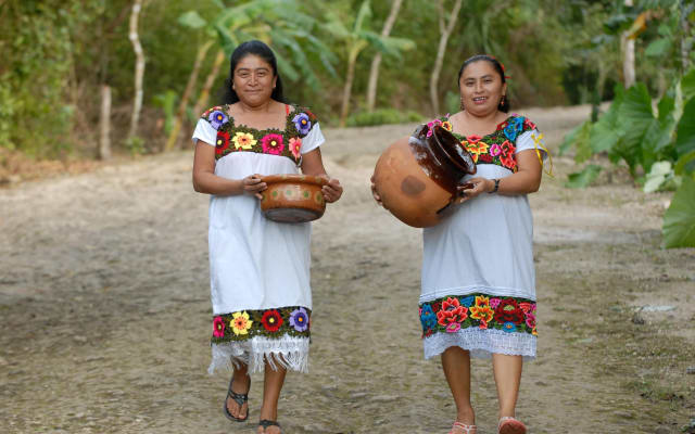 Mayan Inland Expedition: Coba Ruins & Punta Laguna