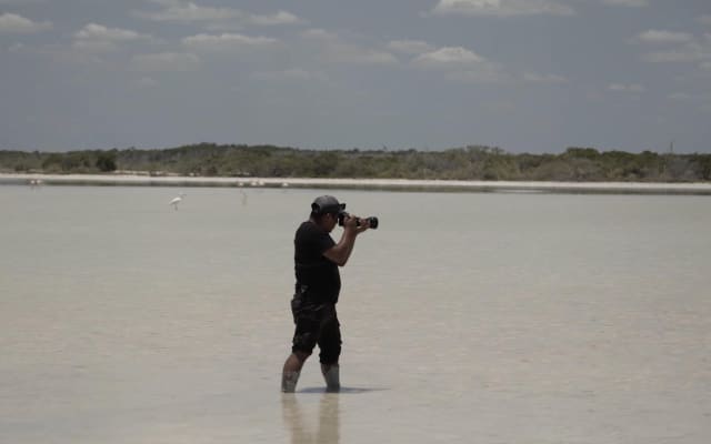 Rio Lagartos and Las Coloradas Day Tour