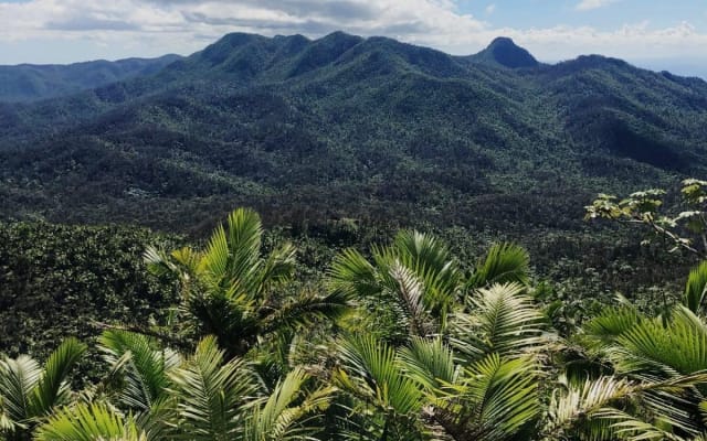 El Yunque Rainforest Adventure
