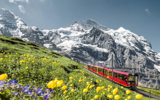Jungfraujoch: Top of Europe Day Trip from Zurich