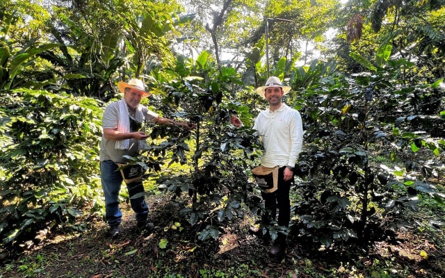 Salento Coffee Farm Shared Tour