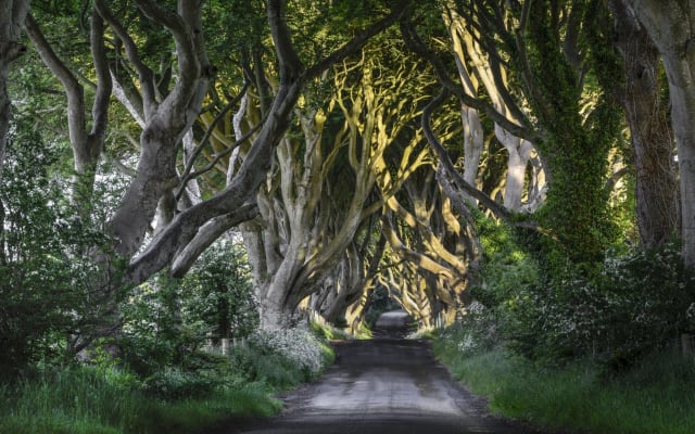 Game of Thrones & Giant's Causeway Tour