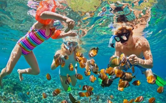 Similan Islands Snorkeling Adventure