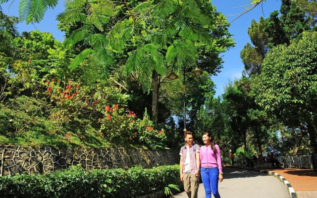 Half-Day Penang Guided Tour with Kek Lok Si Temple