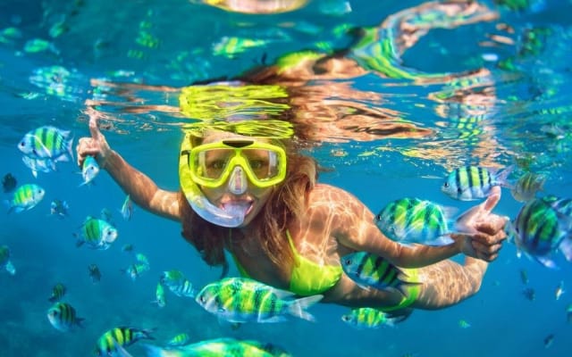 Phi Phi Islands Snorkeling Adventure