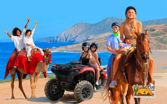 Cabo San Lucas Adventure Combo