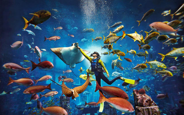 Atlantis Lost Chambers Scuba Dive